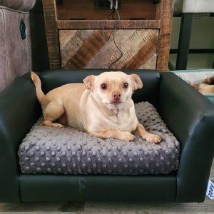 Keet Fluffly Deluxe Pet Bed, Sofa Charcoal, Small